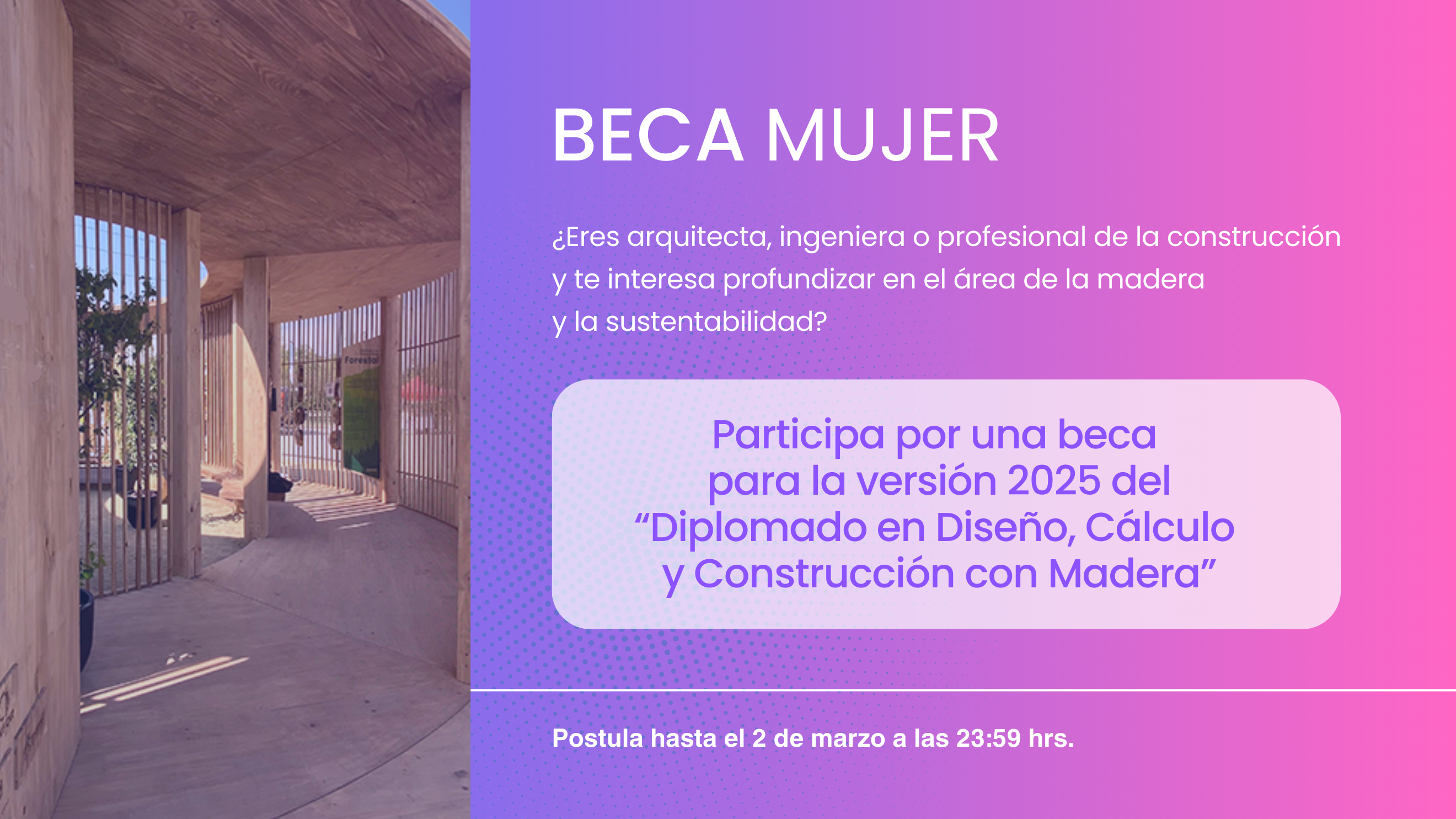 Beca Mujer - Diplomado Diseño, Cálculo y Construcción en Madera