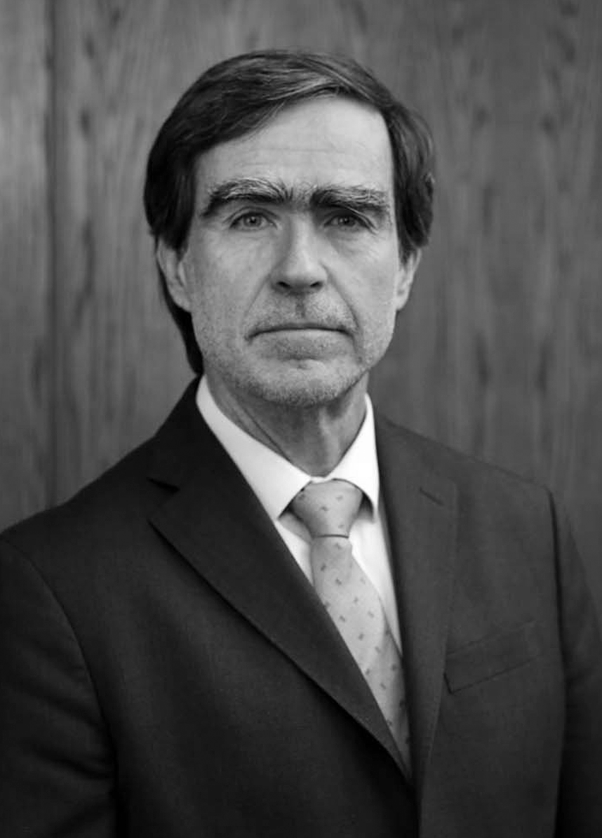 Juan José Ugarte, Profesor titular
