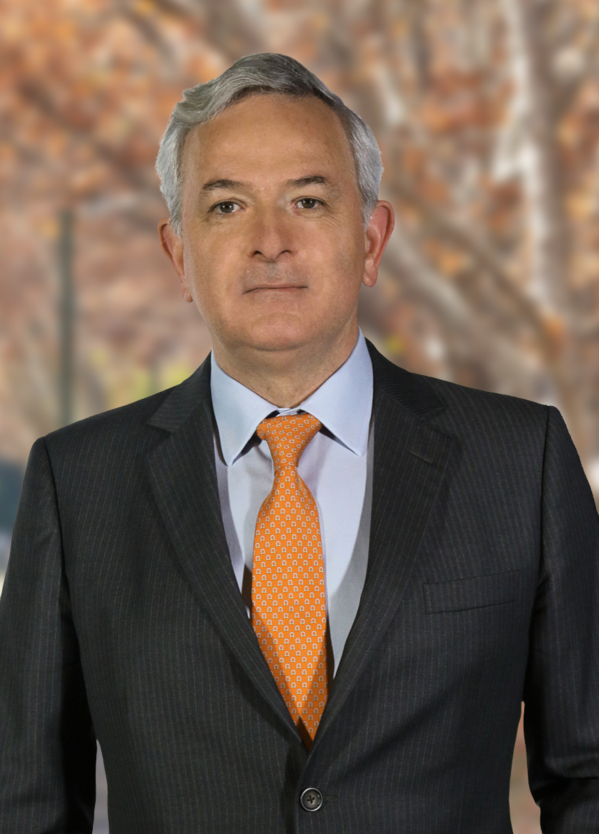 Francisco Lozano, Presidente del directorio