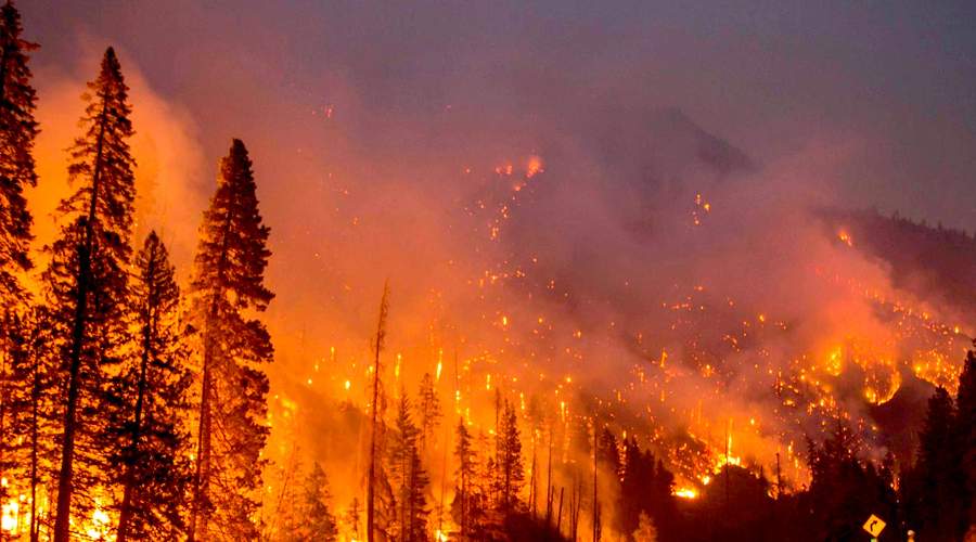 Incendio forestal