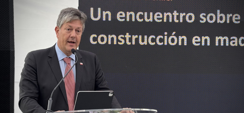 Tamao imagen NOTICIA web 35