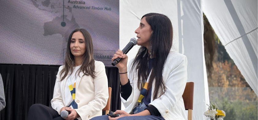 Tamao imagen NOTICIA web 37