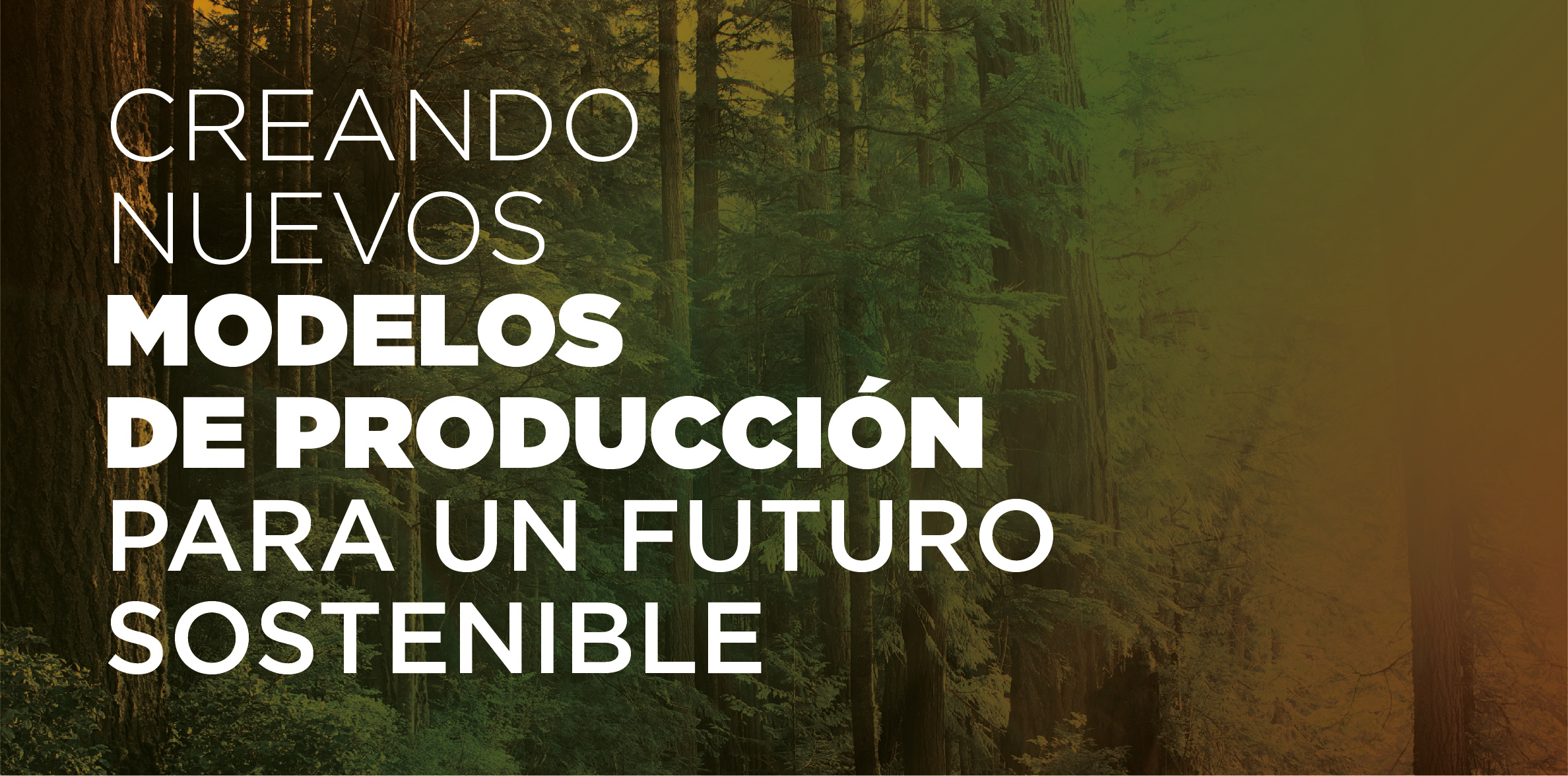 foto que dice "creando nuevos modelos de producción para un futuro sostenible" con fondo de bosque