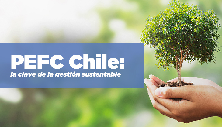 Al costado izquierdo logo de PEFC Chile y al costado derecho dos manos sosteniendo tierra con un pequeño árbol encima 