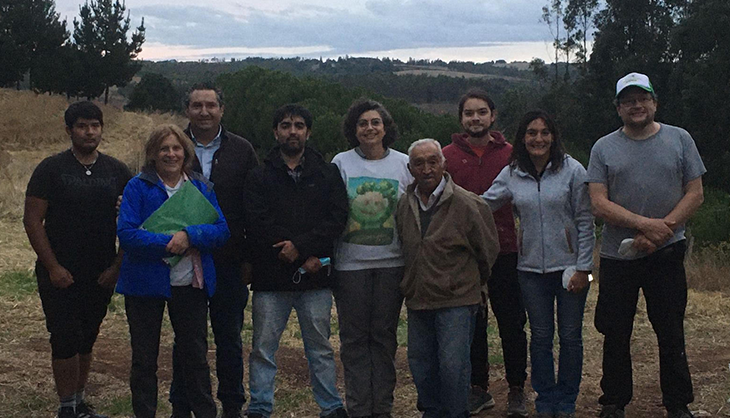 Nueve personas en terreno que forman parte del proyecto “Monitoreo de los efectos del cambio climático en plantaciones forestales de pino piñonero (Pinus pinea L.) en Chile Central”.