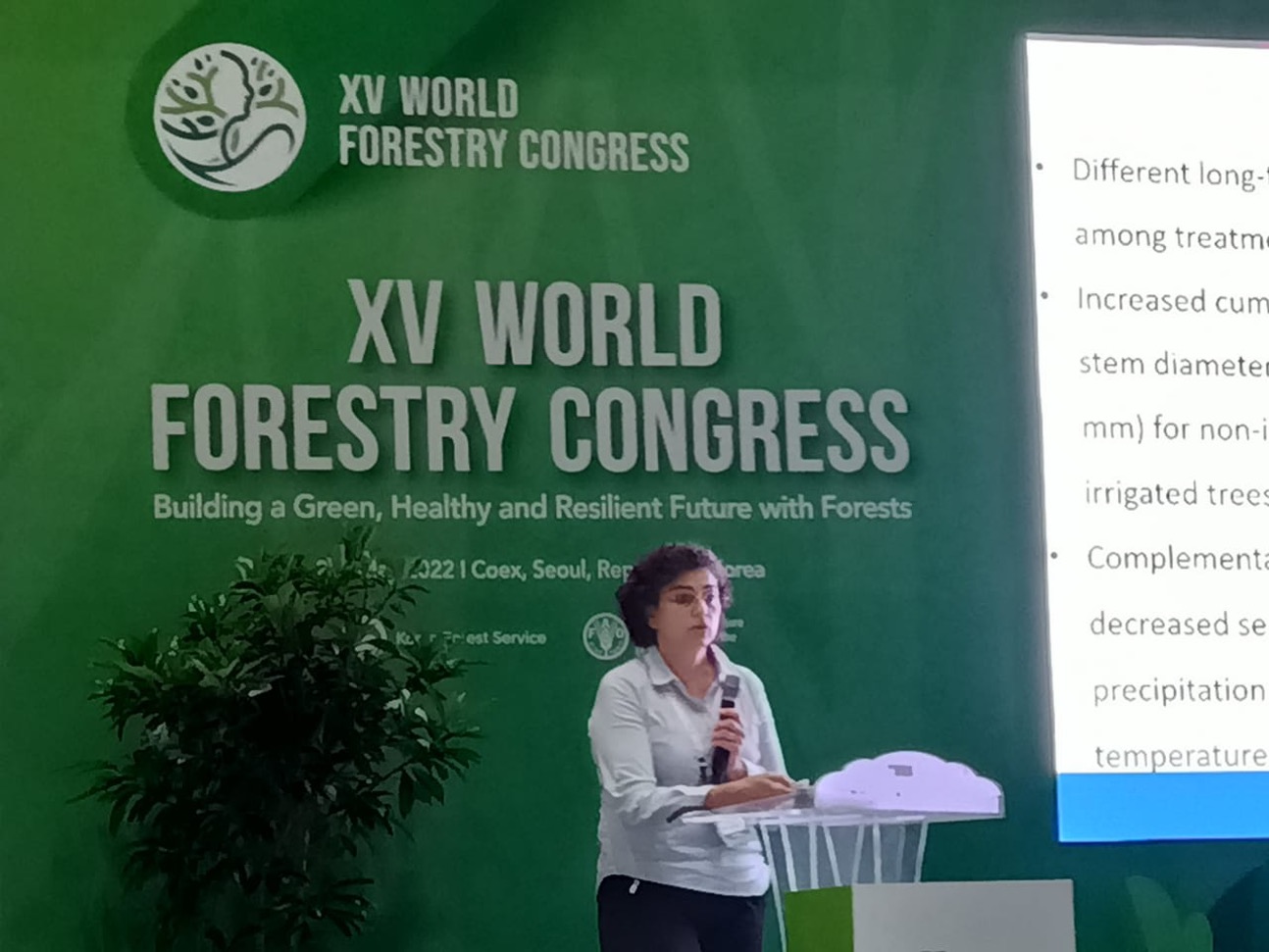 Investigadora principal de CENAMAD y INFOR, Verónica Loewe hablando en edición 2022 de World Forestry Congress en Seúl, Corea del Sur